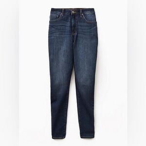 Torrid Sky High Skinny Premium Stretch High-Rise Jean